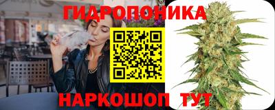прущие крисы Обь