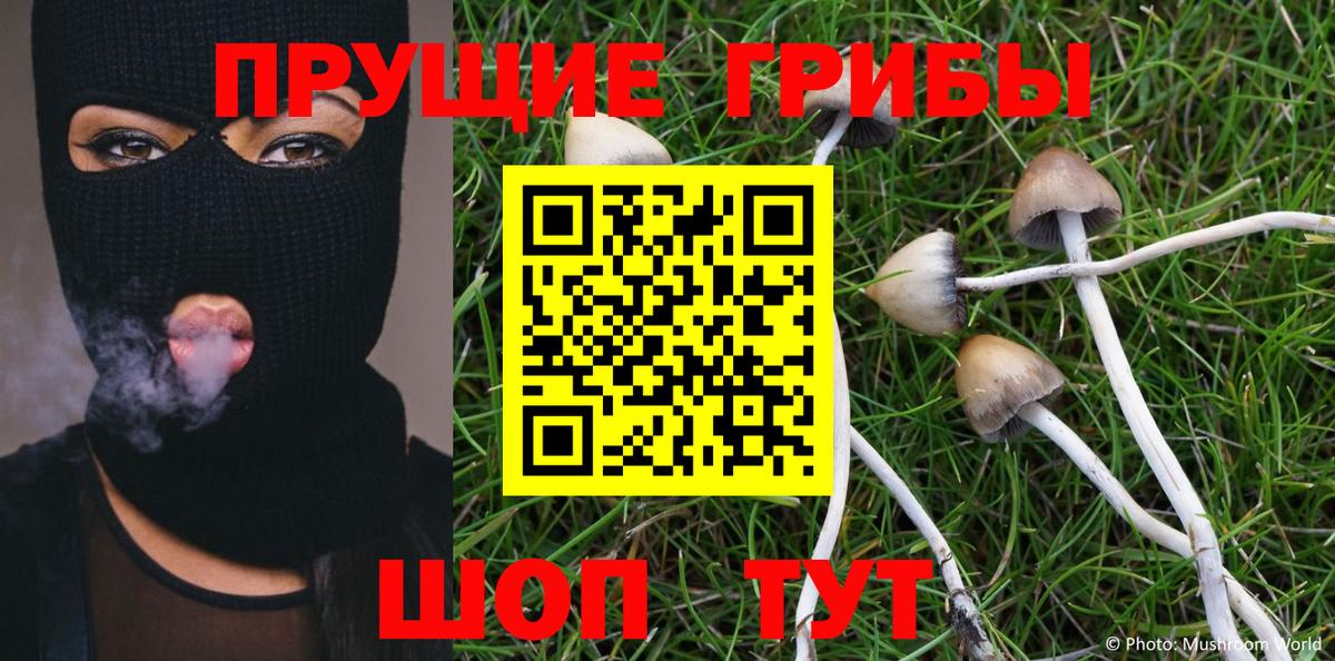 Галлюциногенные грибы Cubensis Прокопьевск